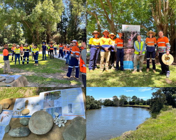 Lower Caboolture: nutrients offset + cutting-edge nature-based technology = resilience