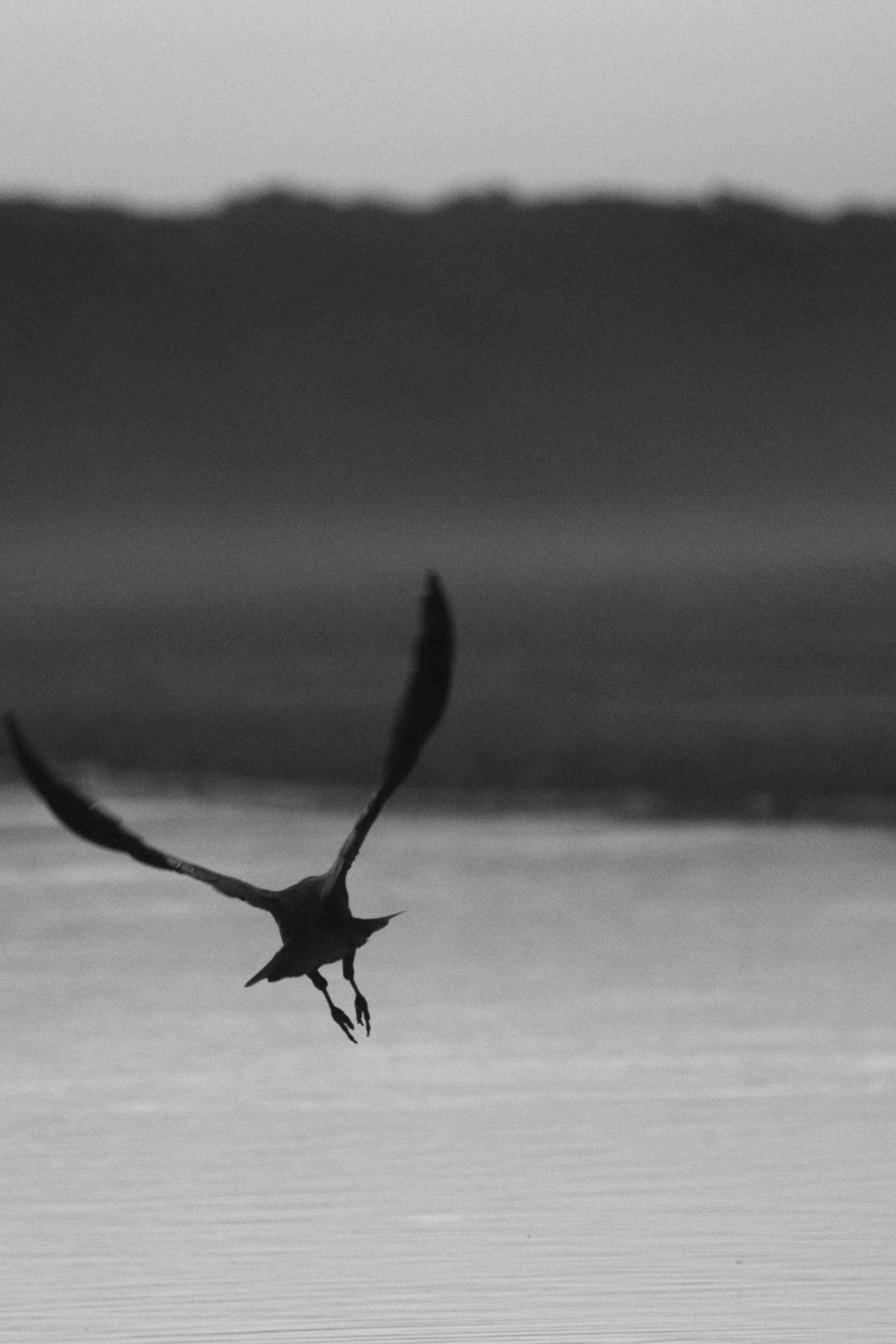 5 years in the making for Moreton Bay Ramsar Wetland Project
