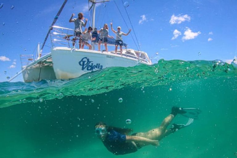 Clever citizen scientist program keeping an eye on critical marine habitats