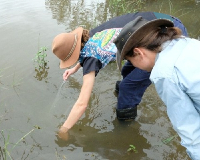 Cod release party 2024 cod fingerlings