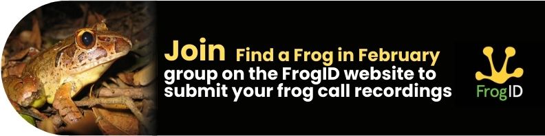 FFF FrogID