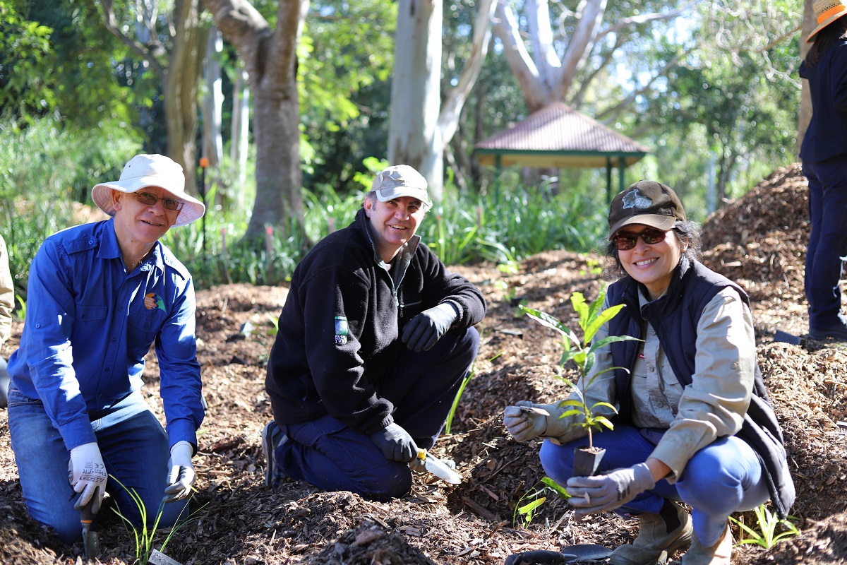 Healthy Land & Water partners with community in creek revegetation