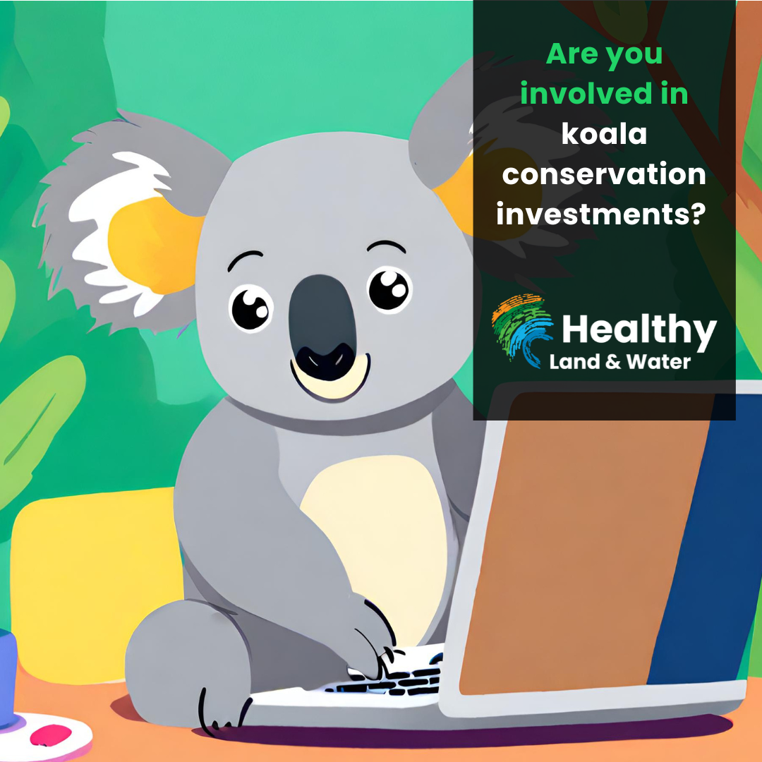ARCHIVED ARTICLE Help shape the new koala conservation investment tool