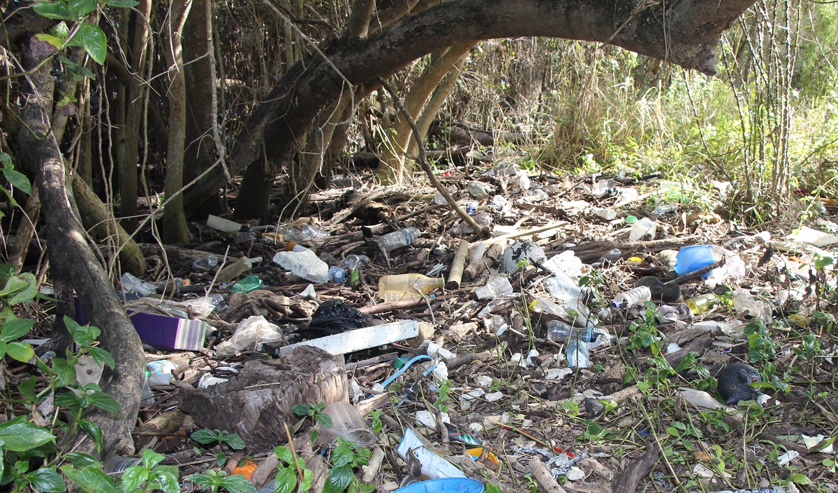 Litter hotspot at Indooroopilly cleaned-up