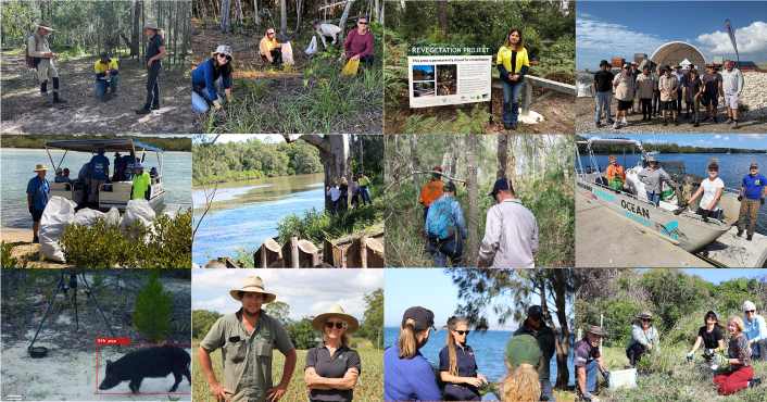 Revegetation, rehabilitation & collaboration: Moreton Bay Ramsar Wetland project end of year wrap up