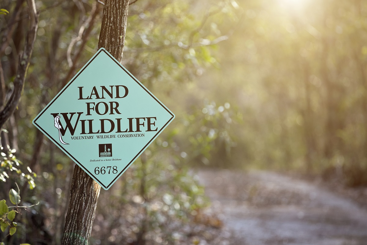 SEQ Land for Wildlife program celebrates 20 years of triumph