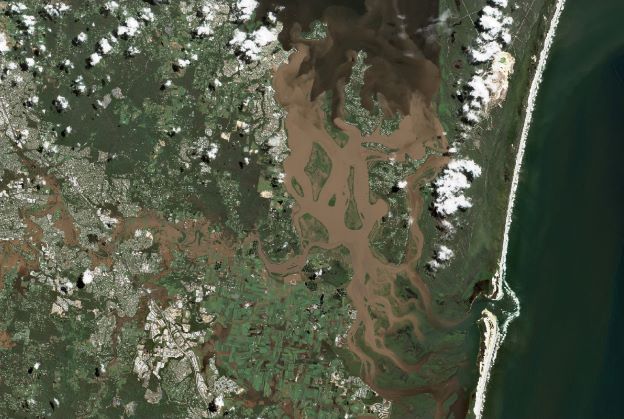 South East Queensland flooding brings a new wave of marine pollution to Moreton Bay Ramsar Wetlands