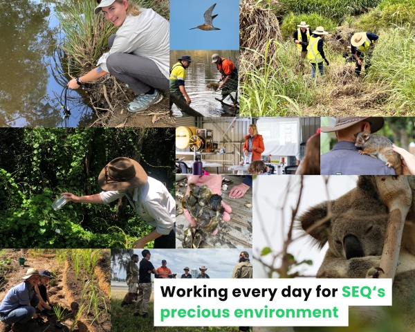 State of the environment HLW