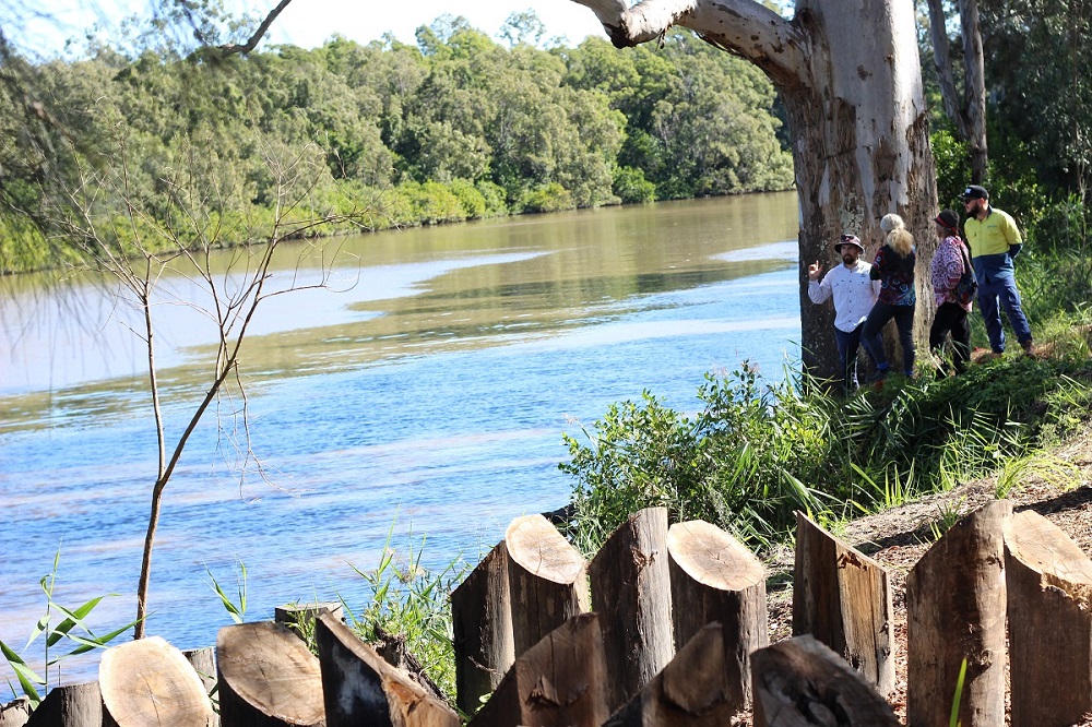 What is the EHMP and Report Card?