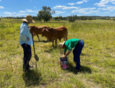 Sustainable Agriculture Facilitator