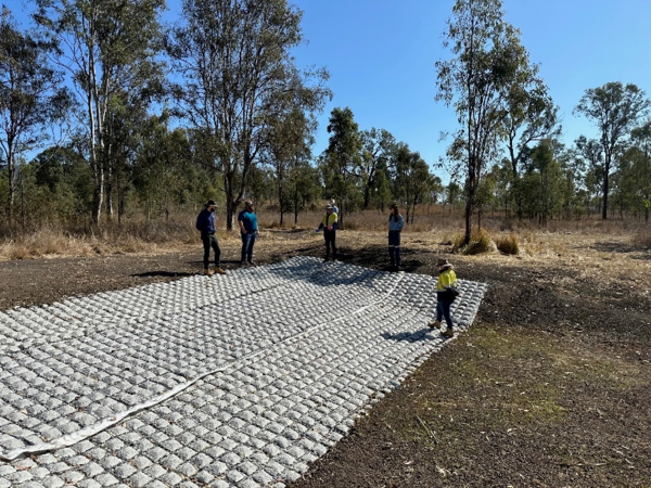 Nature-based solutions: Overcoming environmental challenges, scaling impact, and shaping the future