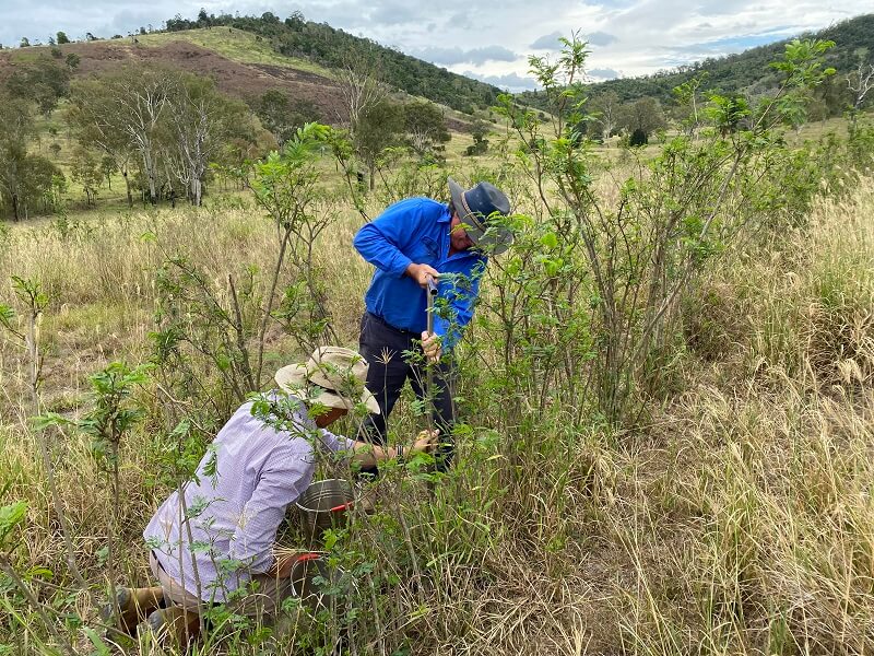 Landscape resilience boost ahead: New sustainable agriculture project greenlit for SEQ